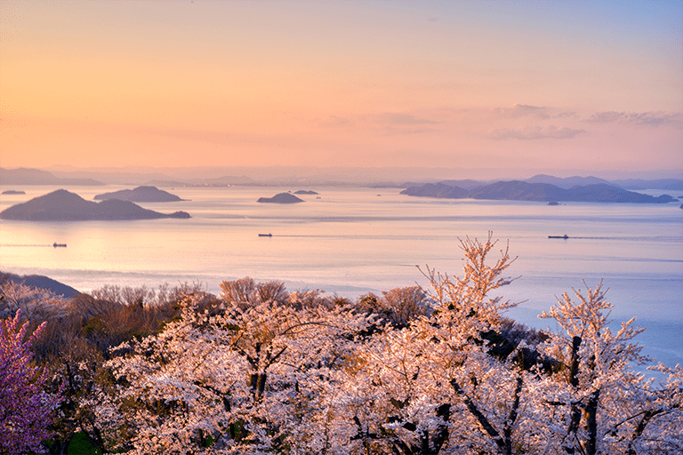 香川県三豊市にある紫雲出山展望台から見た桜と瀬戸内海